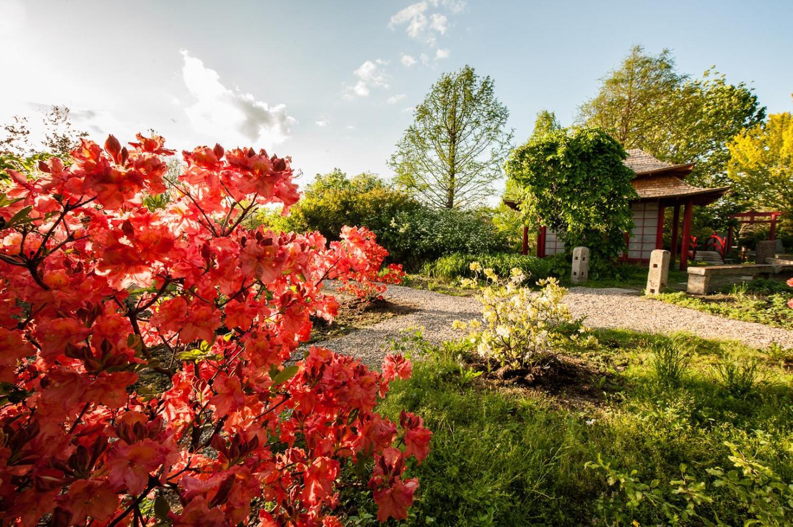 Siedem Drzew Hotel Biskupice  Екстериор снимка